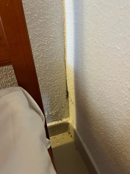 Zimmer Flipflop Cala Romantica