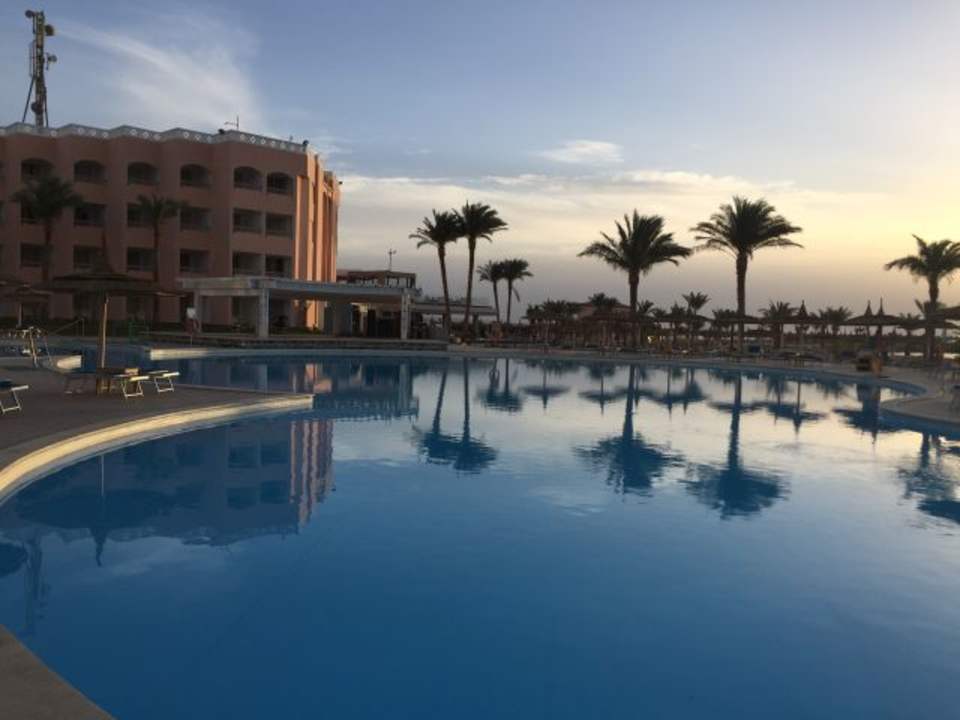 Pool am Morgen Beach Albatros Resort