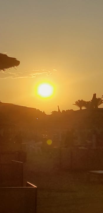 Ausblick Pickalbatros Dana Beach Resort - Hurghada