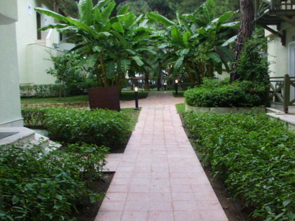 Zzzzz Crystal Flora Beach Resort