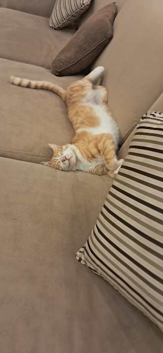 Lobby Stella Beach Resort & Spa Makadi Bay