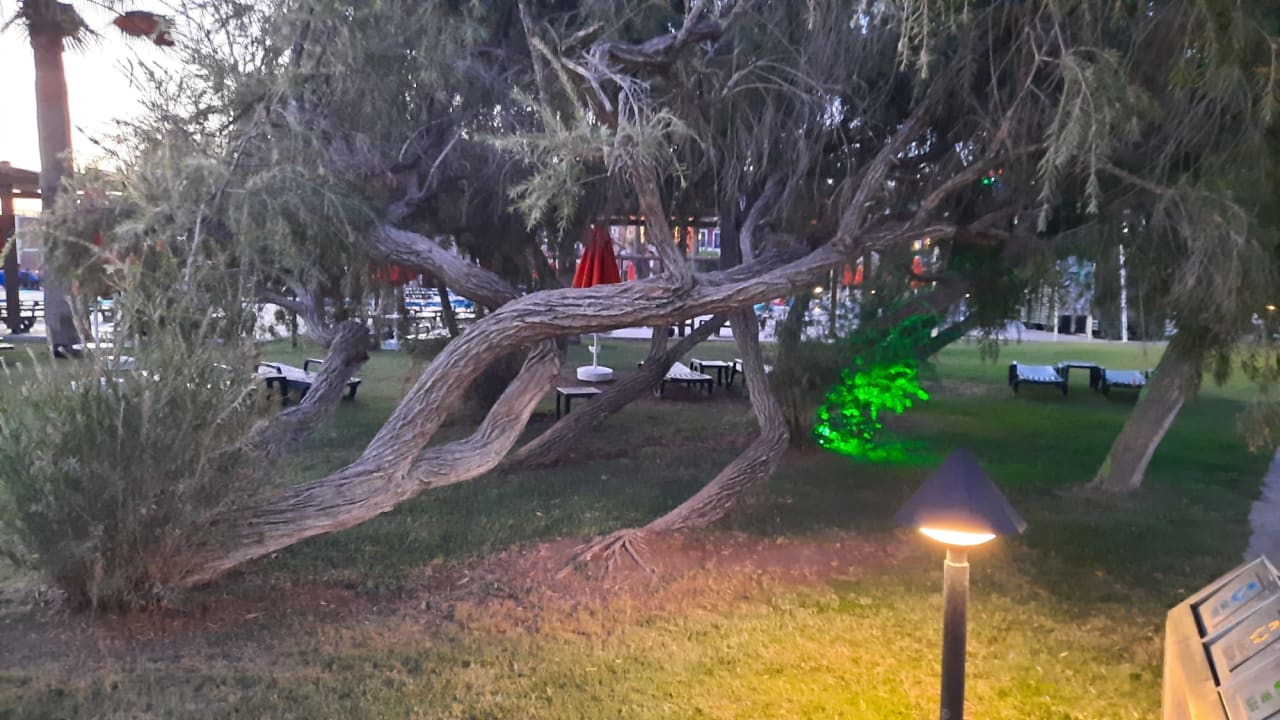 Außenansicht Megasaray Club Belek