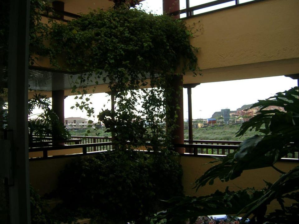 Innensicht Apartamentos Centro Cancajos