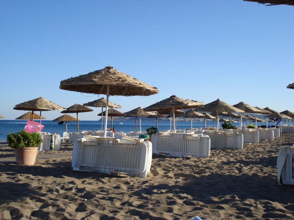 Spiaggia Hotel Calypso Beach