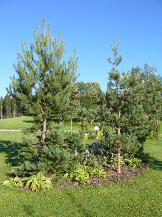 Außenansicht Landhaus Katharina