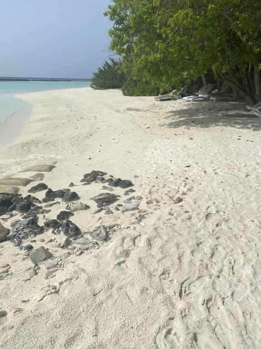 Strand Summer Island Maldives