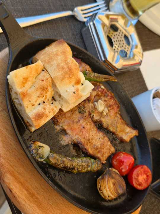 Gastro Seashell Vega