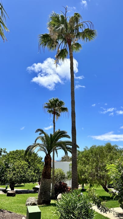 Ausblick allsun App.-Hotel Esquinzo Beach