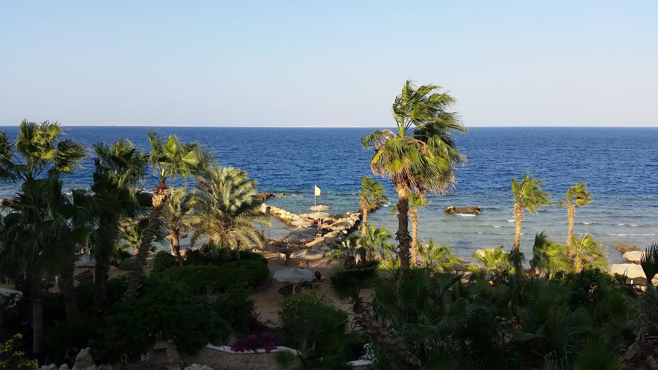 Meerblick vom Zimmer Pickalbatros Citadel Resort