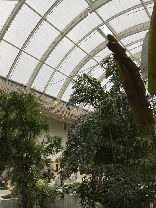 Pool Center Parcs Park Allgäu