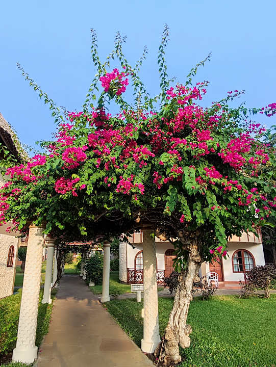 Außenansicht Neptune Paradise Beach Resort & Spa