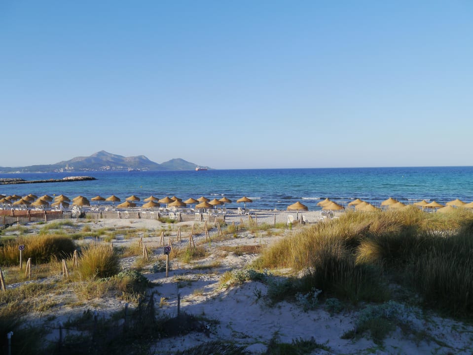 Abendstimmung Grupotel Natura Playa