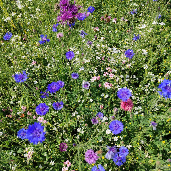 Ausblick Hotel Bad Hofgastein