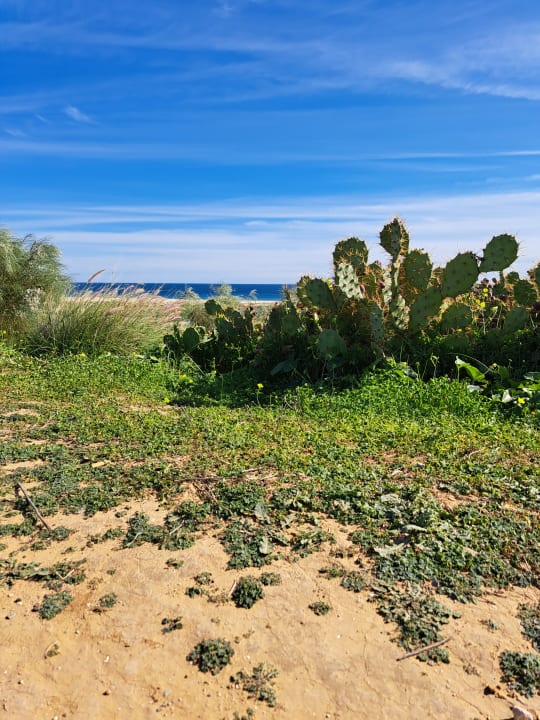 Gartenanlage ROBINSON QUINTA DA RIA
