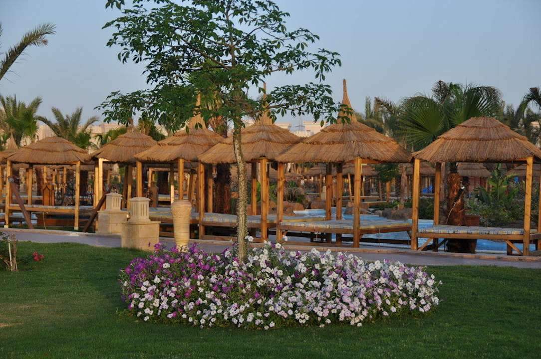 Ein Lob an die Gärtner! Pickalbatros Palace Resort
