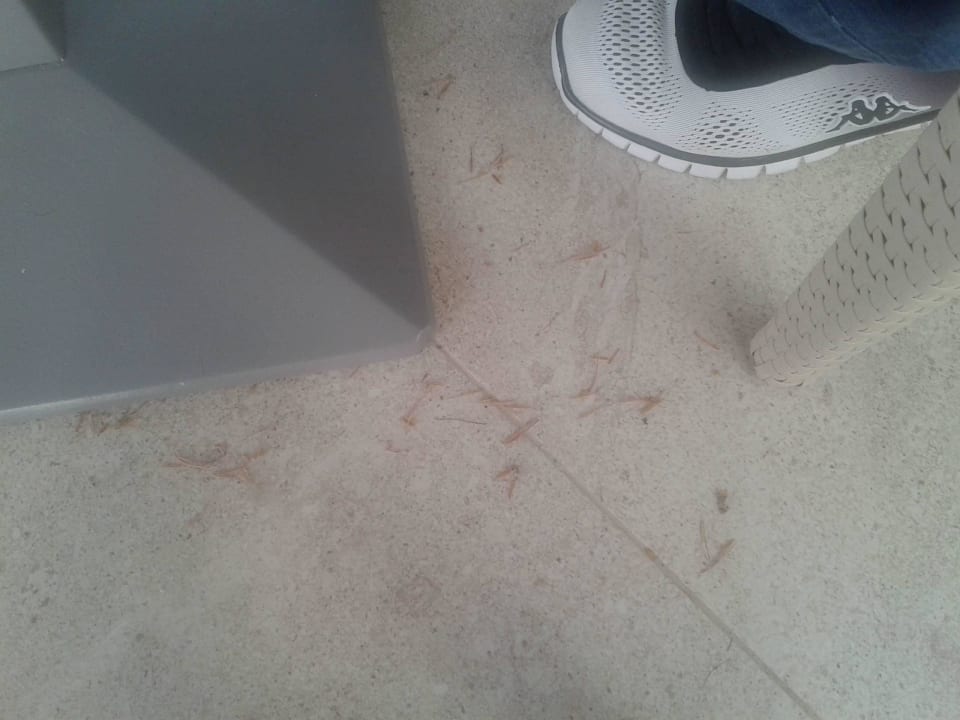 Trattoria  Insotel Tarida Beach Resort & Spa