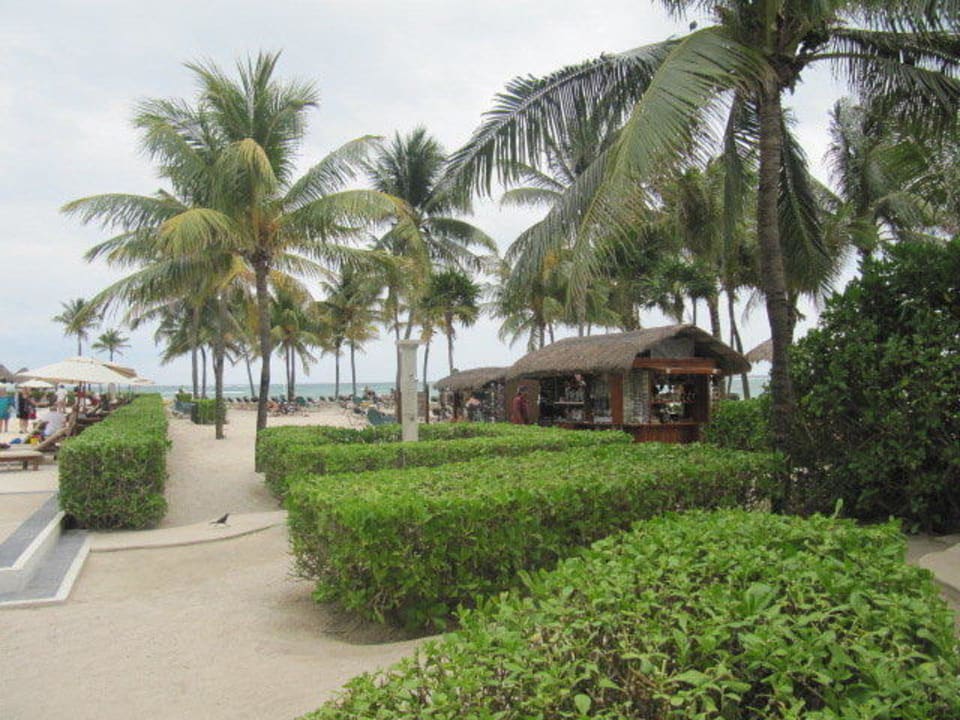 Ogród Dreams Tulum Resort & Spa