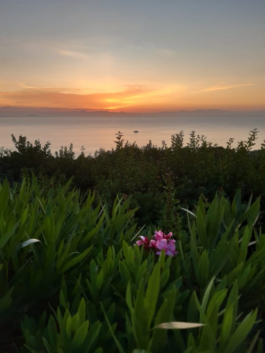 Gartenanlage Hotel Kalithea Horizon Royal