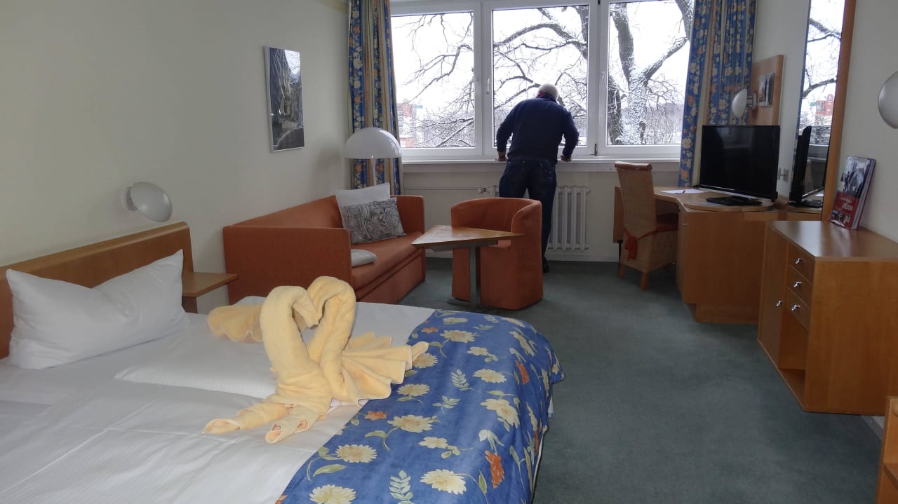 Schwäne - nicht nur im Meer Hotel Wald und See