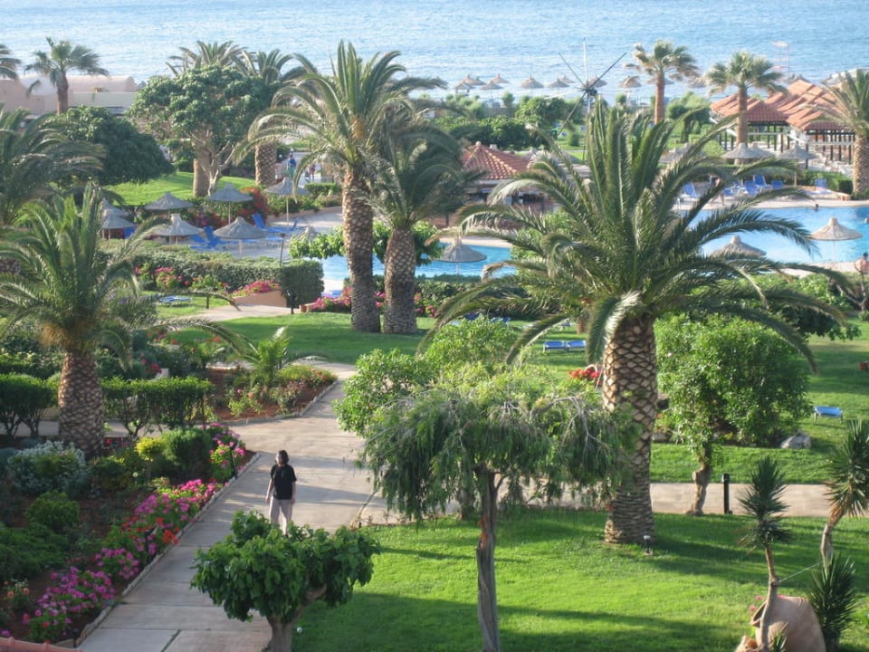 Blick vom Balkon auf Garten und Meer Anissa Beach & Village