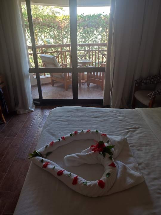 Zimmer Ghazala Beach