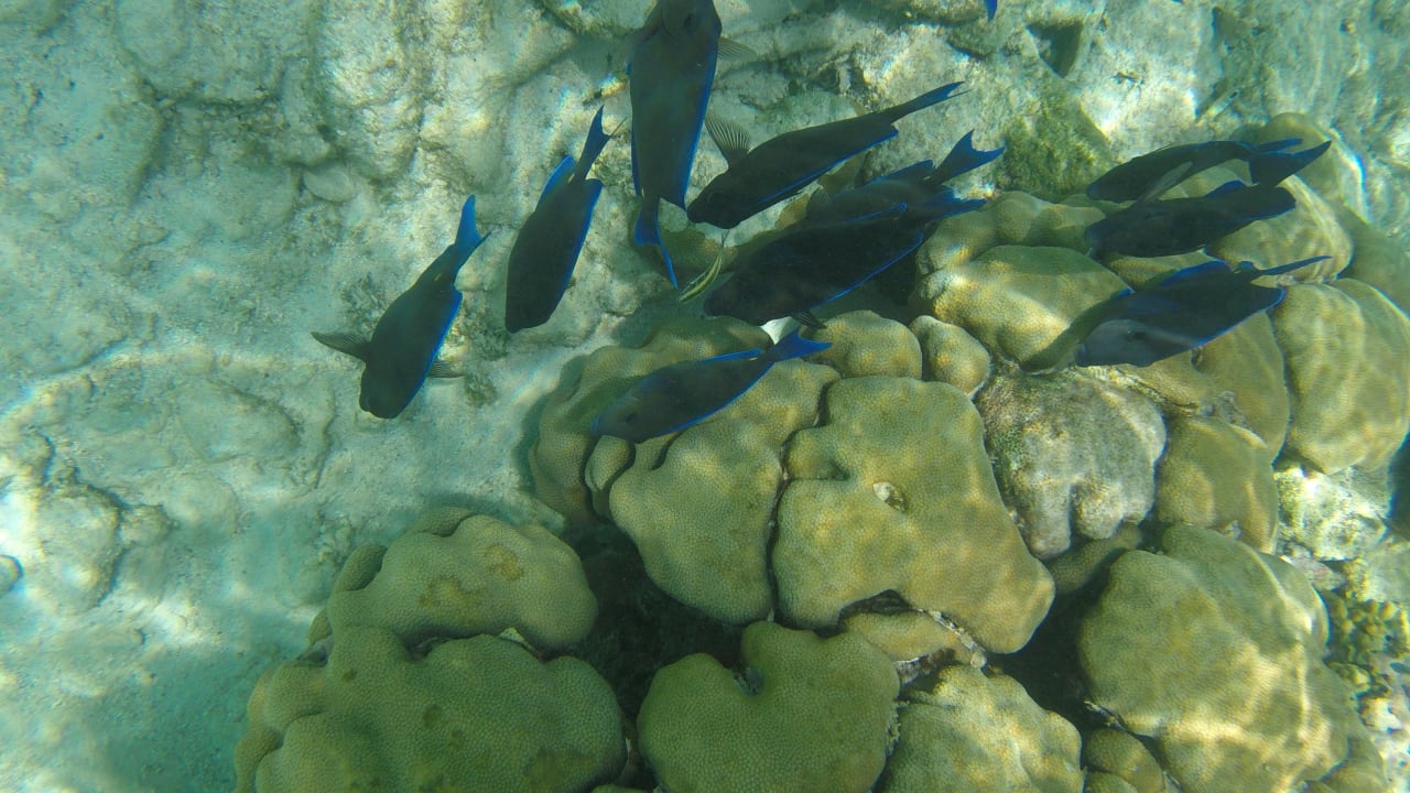 Sport & Freizeit Akumal Bay Beach & Wellness Resort