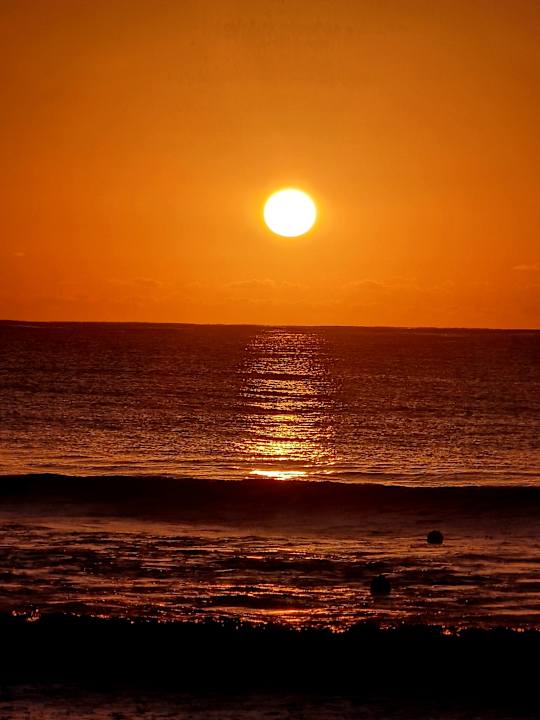 Ausblick Hotel Riu Palace Riviera Maya