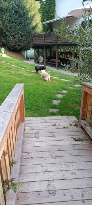 Außenansicht Gästehaus Falkenau