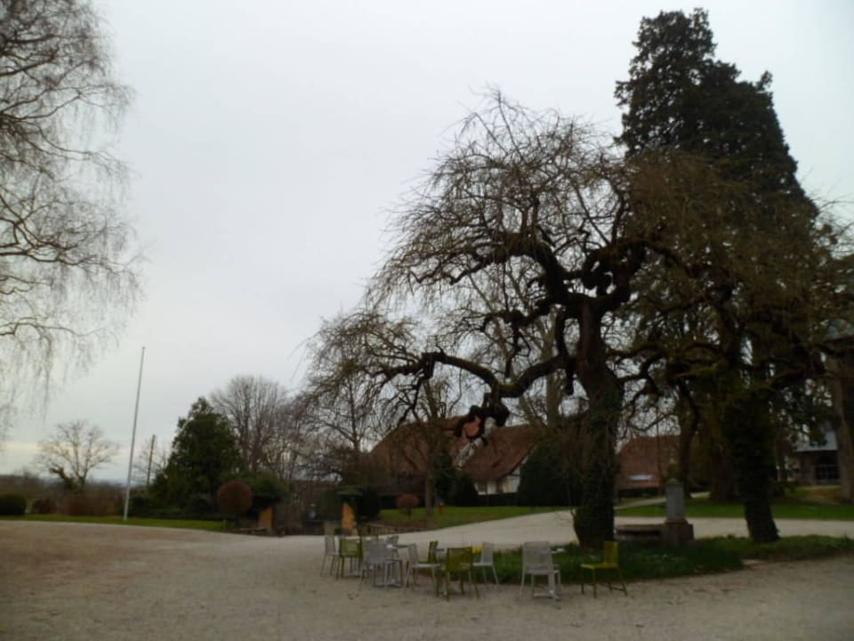 Schloss Hotel Schloss Münchenwiler