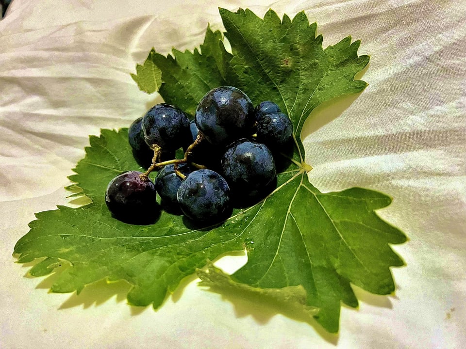 Zimmer Labranda Lebedos Princess