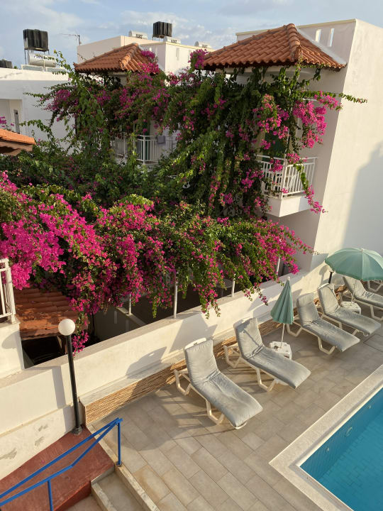 Ausblick Eleni Apartments