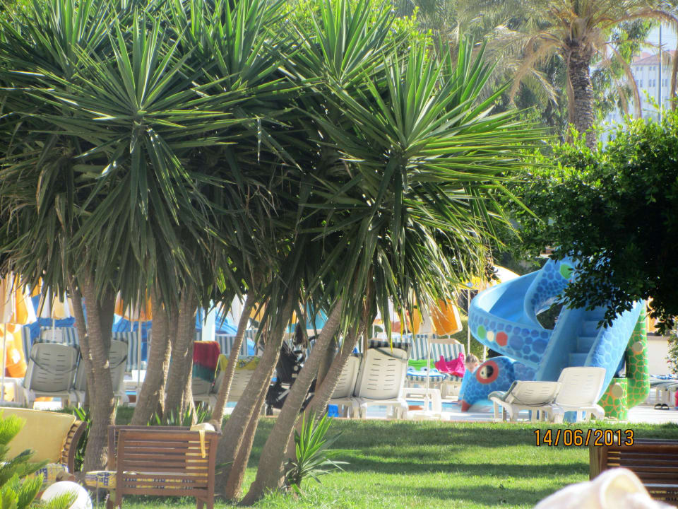 Внешний вид Hotel Royal Garden Beach