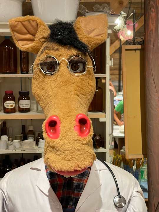 Sonstiges Die Karls Bande - Das Hotel