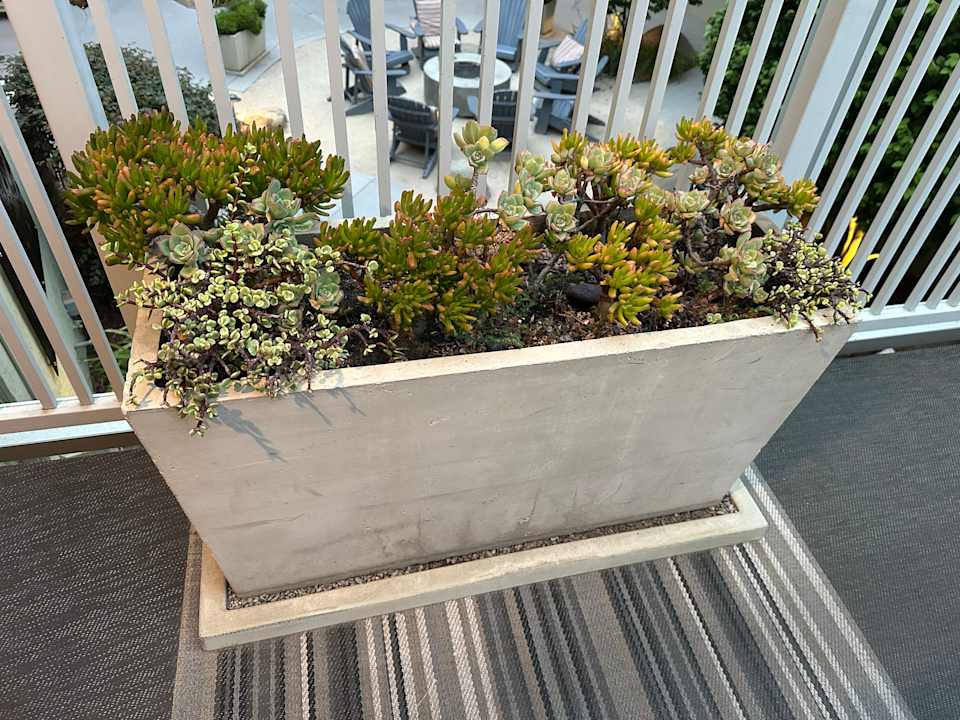 Gartenanlage Best Western Hotel Beach View Lodge