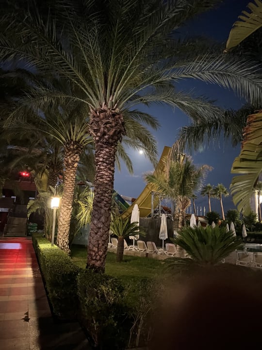 Außenansicht Royal Taj Mahal Hotel