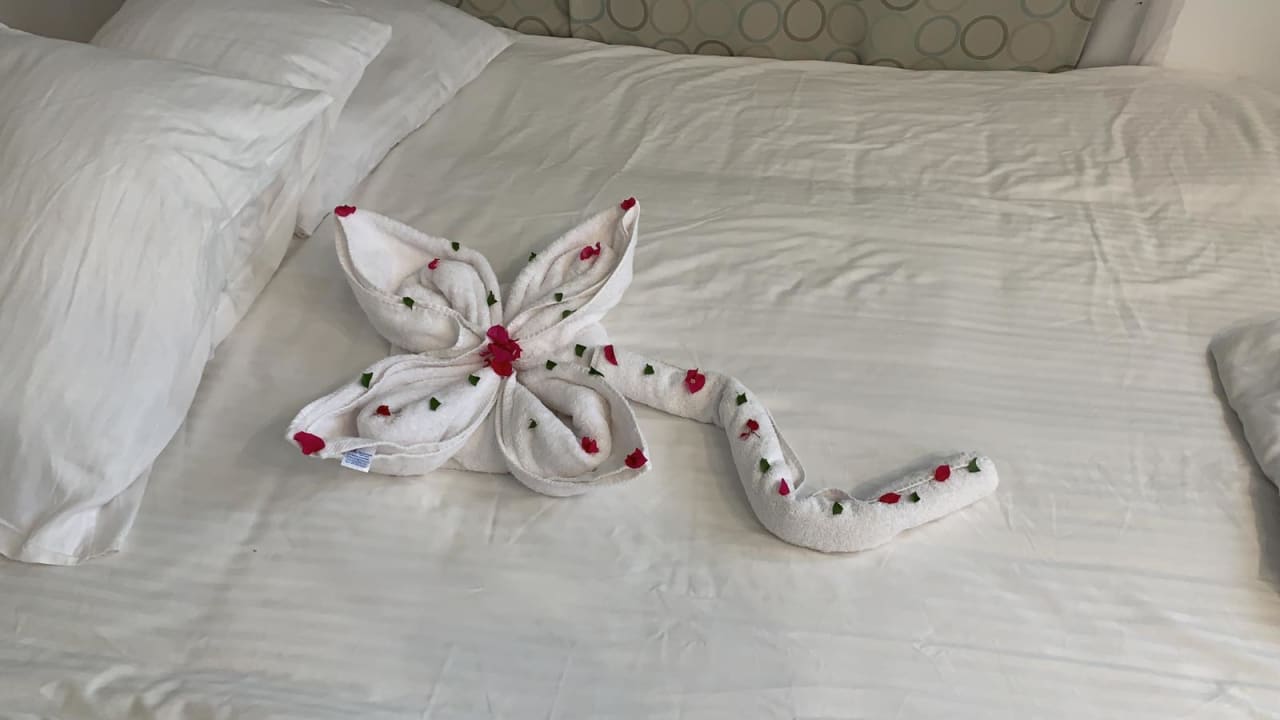 Zimmer Pharaoh Azur Resort