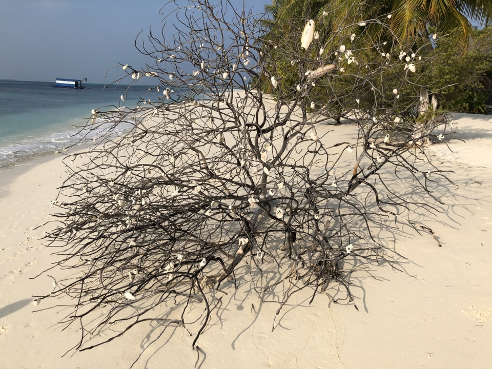 Strand Kuredu Island Resort & Spa