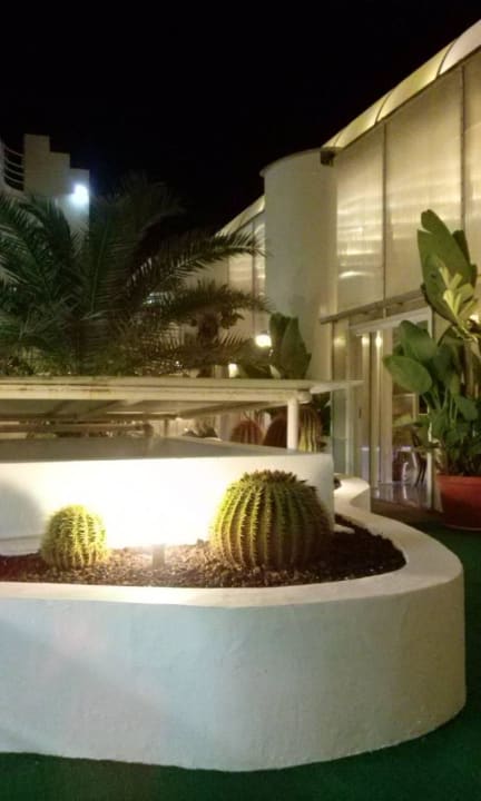 Mee(h)r grün Bull Astoria