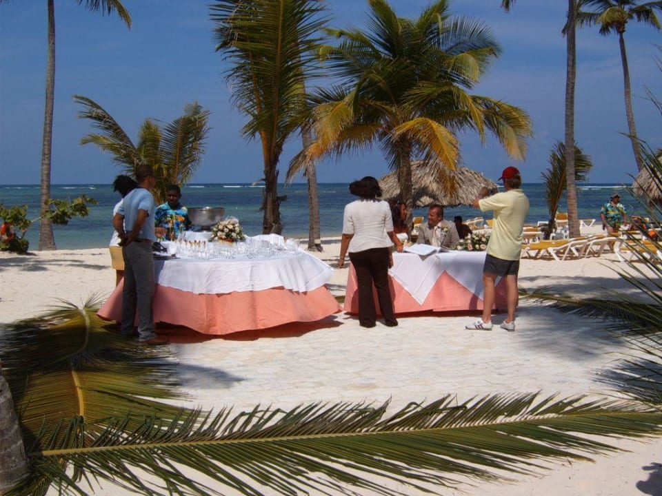 Hochzeit am Strand Catalonia Punta Cana - All Inclusive