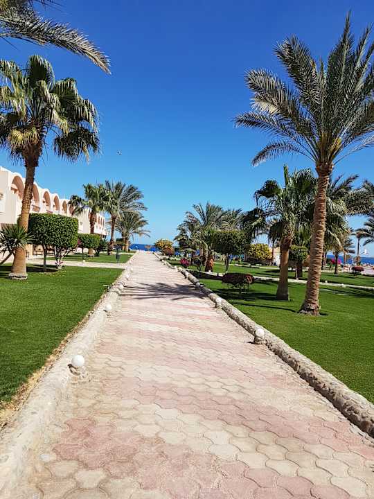 Gartenanlage Three Corners Sea Beach Resort