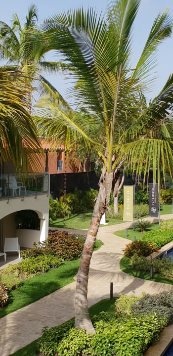 Ausblick Catalonia Royal La Romana - Adults only