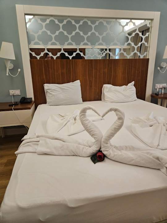 Zimmer Seashell Vega