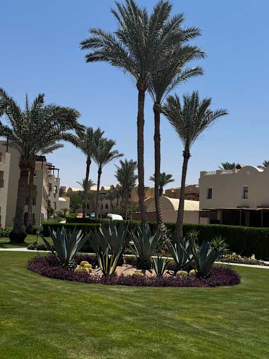 Gartenanlage Jaz Lamaya Resort