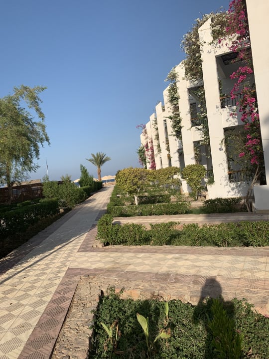 Gartenanlage Menaville Safaga