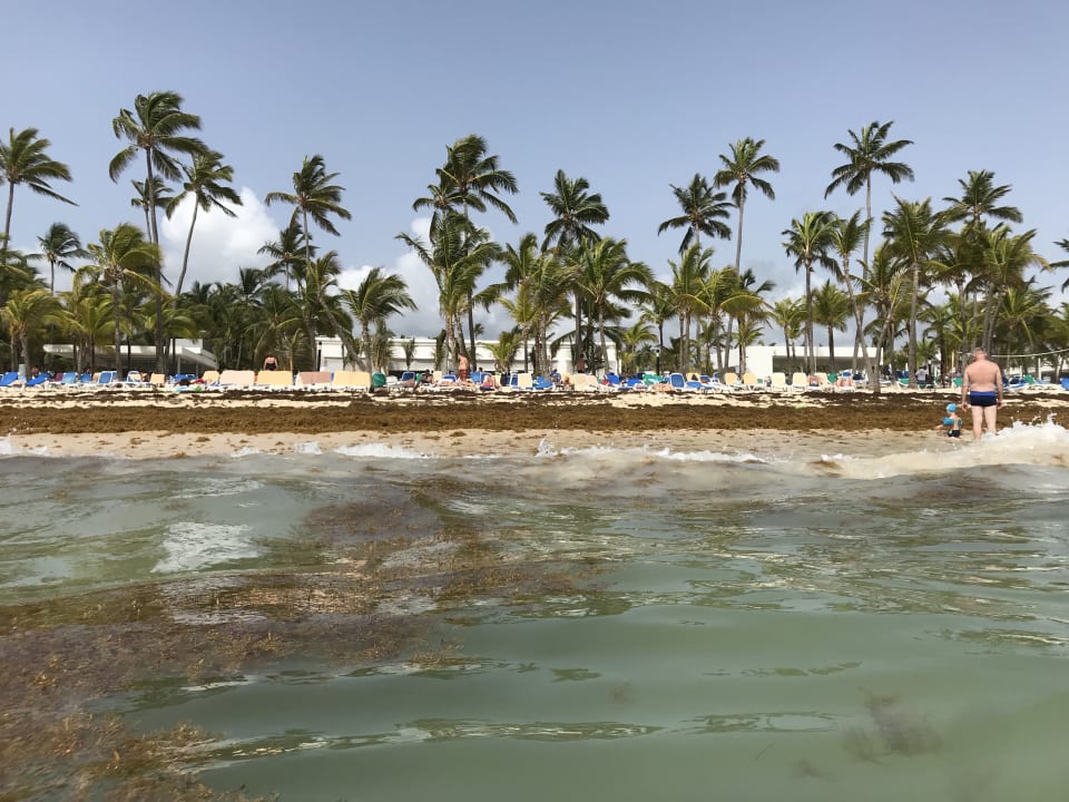 Gartenanlage Hotel Riu Bambu