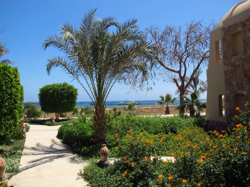 Gepflegte Außenanlagen Shams Alam Beach Resort