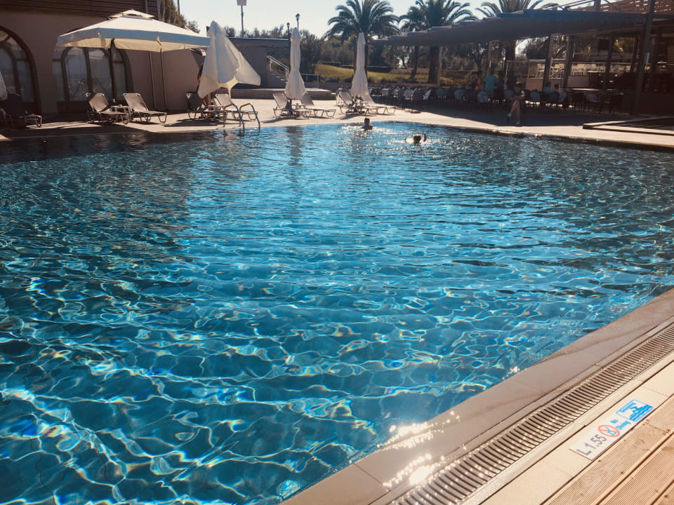 Pool Blue Dolphin Resort Hotel