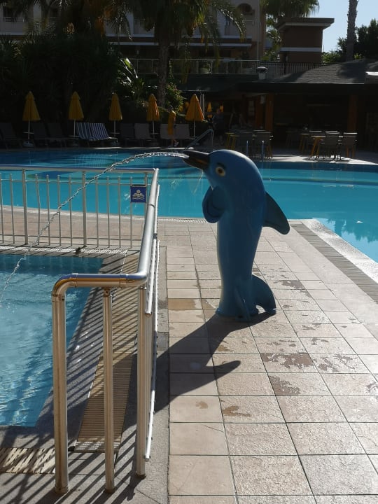 Pool Calimera Hane Garden