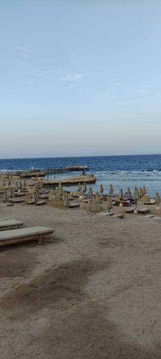 Strand Serenity Alpha Beach