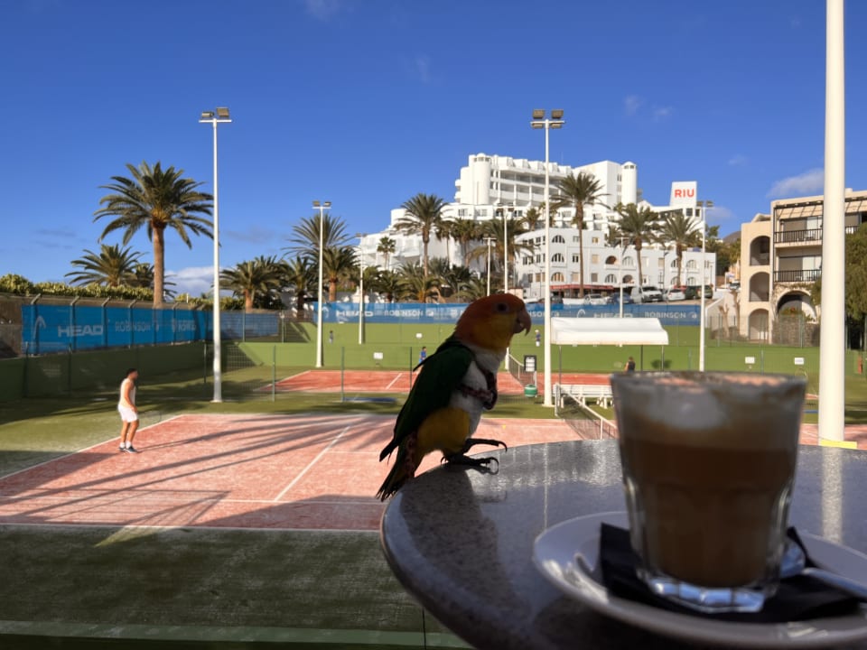 Sport & Freizeit ROBINSON JANDIA PLAYA